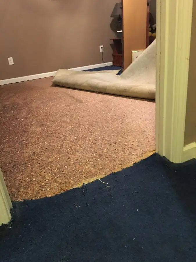 Carpet pad removal revealing water damage during Water Mitigation Services in Todd Creek